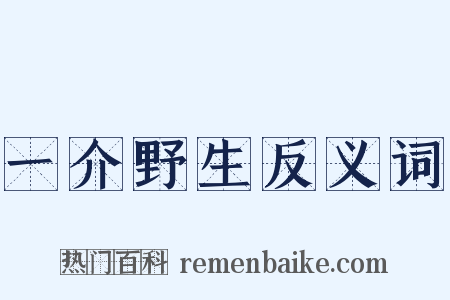 一介野生反义词是什么意思的图片